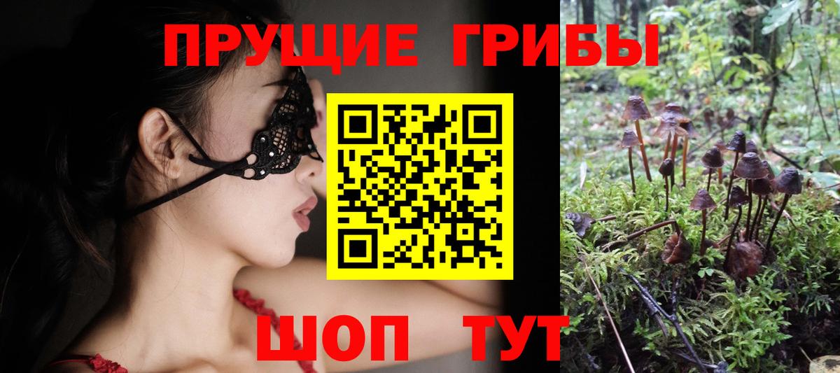 Кировск  Псилоцибиновые грибы Cubensis  Псилоцибиновые грибы ЛСД  Вход с VPN 