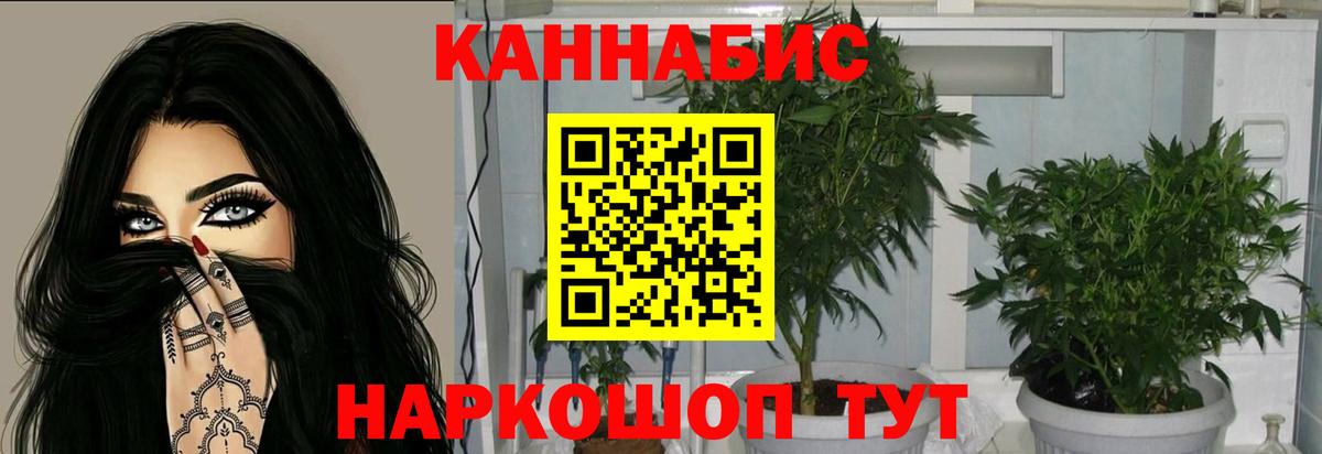 Канабис семена  Вход с VPN  МАРИХУАНА индика  Кировск  МАРИХУАНА марихуана 